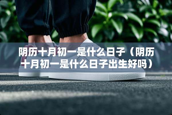 *历十月初一是什么日子（*历十月初一是什么日子出生好吗）