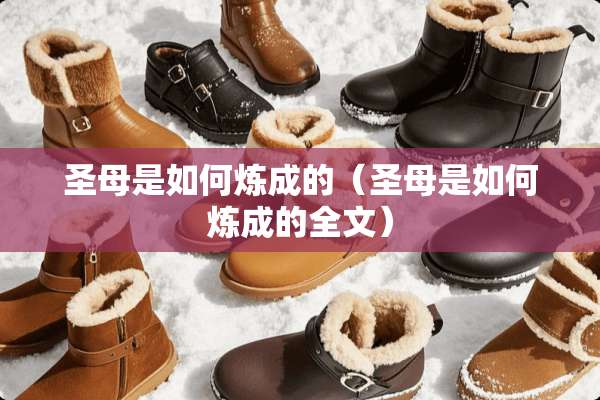 圣母是如何炼成的（圣母是如何炼成的全文）