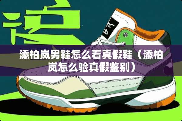 添柏岚男鞋怎么看真假鞋（添柏岚怎么验真假鉴别）