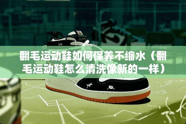 翻毛运动鞋如何保养不缩水（翻毛运动鞋怎么清洗像新的一样）