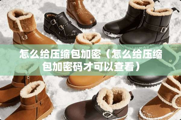 怎么给压缩包加密（怎么给压缩包加密码才可以查看）