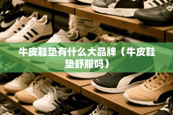 牛皮鞋垫有什么大品牌（牛皮鞋垫舒服吗）
