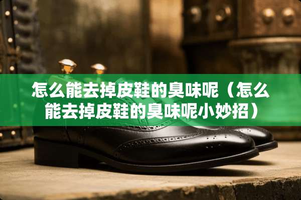 怎么能去掉皮鞋的臭味呢（怎么能去掉皮鞋的臭味呢小妙招）