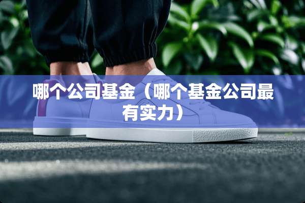 哪个公司基金（哪个基金公司最有实力）
