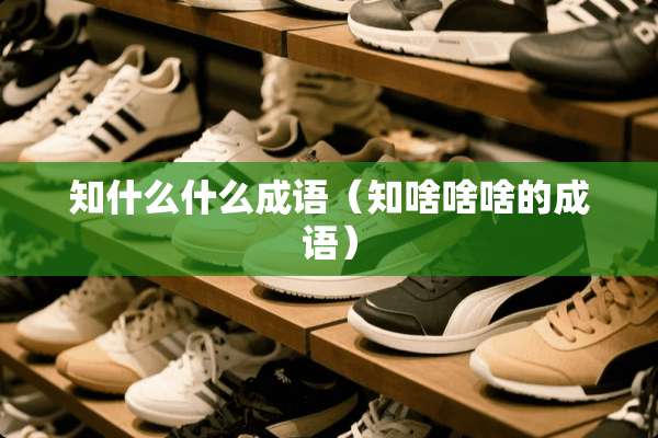 知什么什么成语（知啥啥啥的成语）