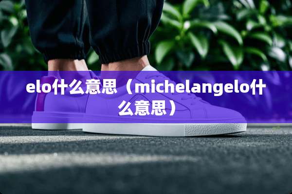 elo什么意思（michelangelo什么意思）
