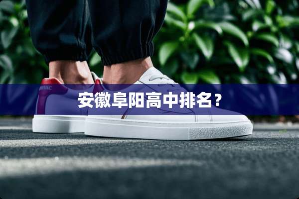 安徽阜阳高中排名？