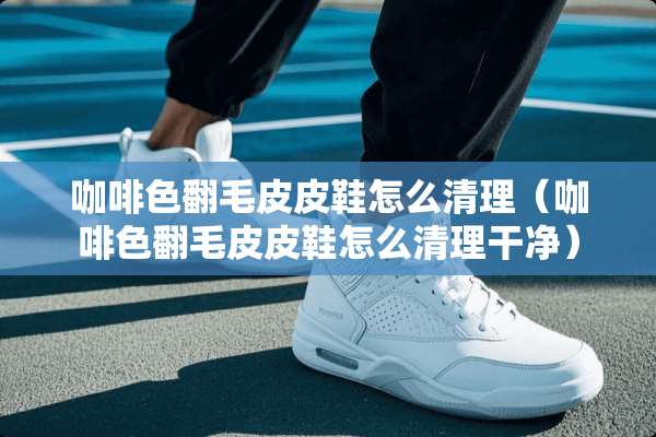 咖啡色翻毛皮皮鞋怎么清理（咖啡色翻毛皮皮鞋怎么清理干净）