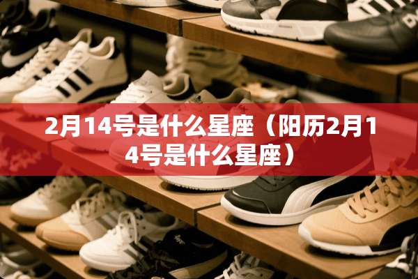 2月14号是什么星座（阳历2月14号是什么星座）