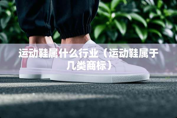 运动鞋属什么行业（运动鞋属于几类商标）