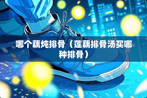 哪个藕炖排骨（莲藕排骨汤买哪种排骨）