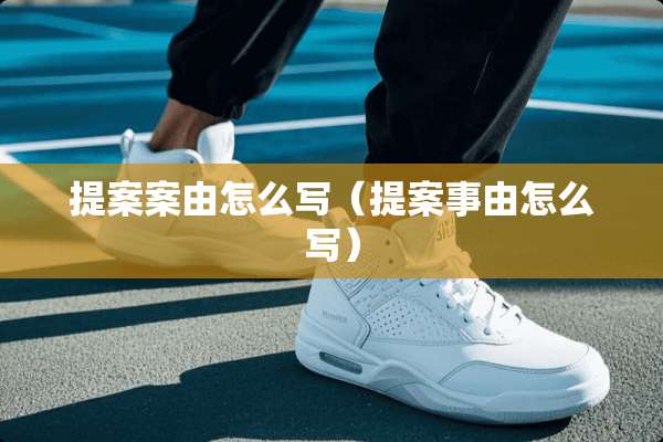 提案案由怎么写（提案事由怎么写）