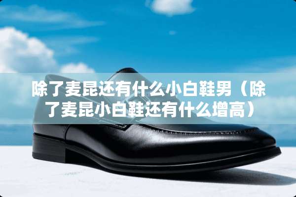 除了麦昆还有什么小白鞋男（除了麦昆小白鞋还有什么增高）