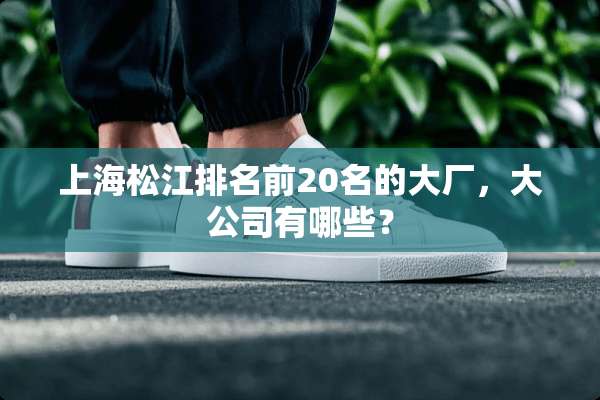 上海松江排名前20名的大厂，大公司有哪些？