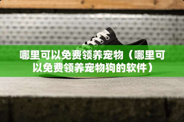 哪里可以免费领养宠物（哪里可以免费领养宠物狗的软件）