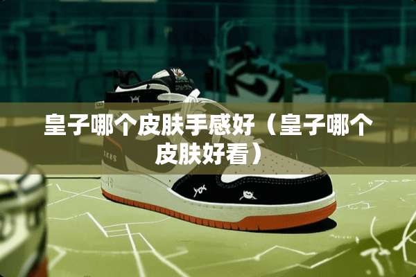 皇子哪个皮肤手感好（皇子哪个皮肤好看）