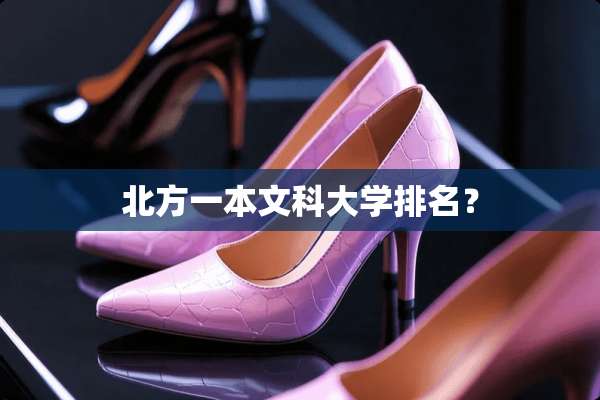 北方一本文科大学排名？