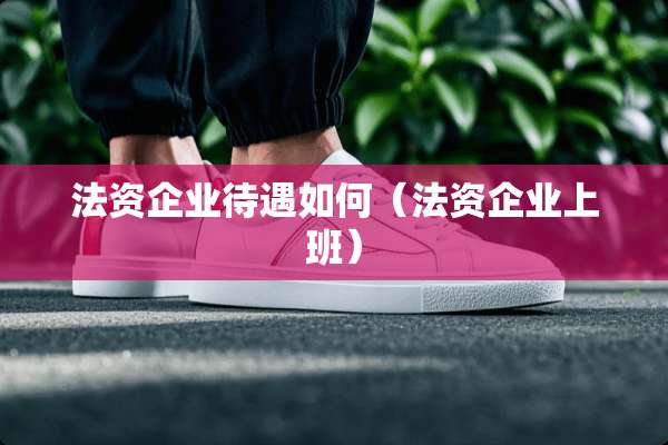 法资企业待遇如何（法资企业上班）