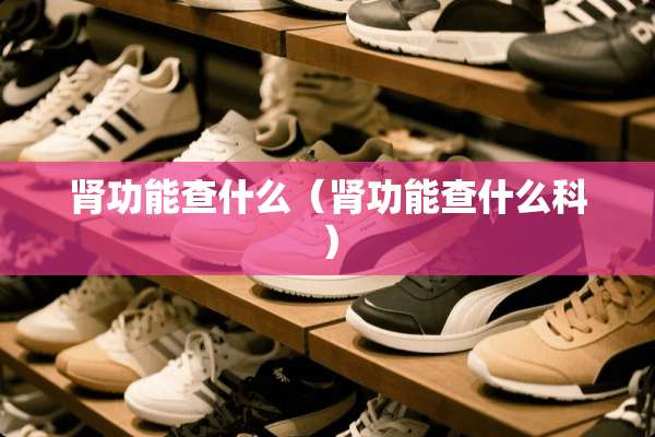 肾功能查什么（肾功能查什么科）
