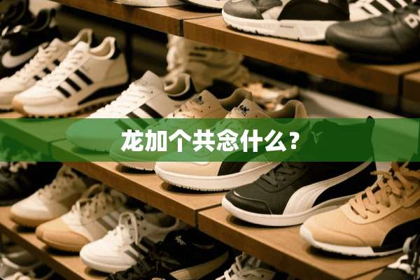 龙加个共念什么？