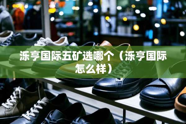 泺亨国际五矿选哪个（泺亨国际怎么样）