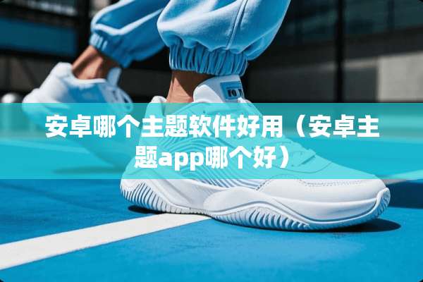 安卓哪个主题软件好用（安卓主题app哪个好）