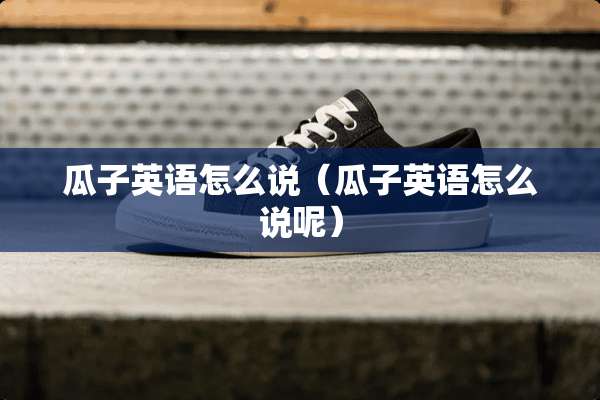 瓜子英语怎么说（瓜子英语怎么说呢）