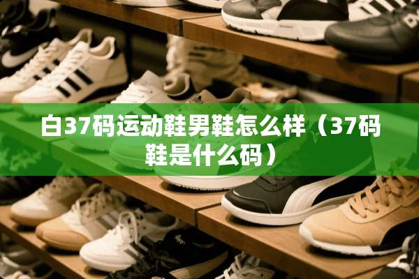 白37码运动鞋男鞋怎么样（37码鞋是什么码）