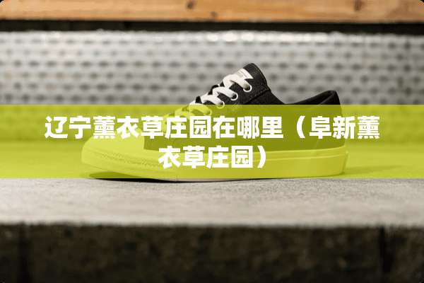 辽宁薰衣草庄园在哪里（阜新薰衣草庄园）