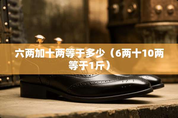 六两加十两等于多少（6两十10两等于1斤）