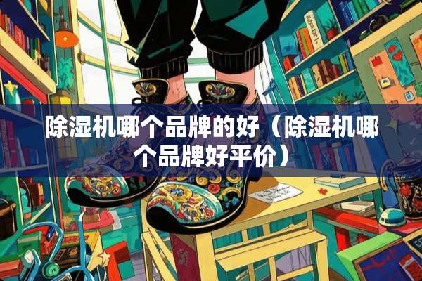 ***哪个品牌的好（***哪个品牌好平价）