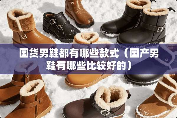 国货男鞋都有哪些款式（国产男鞋有哪些比较好的）