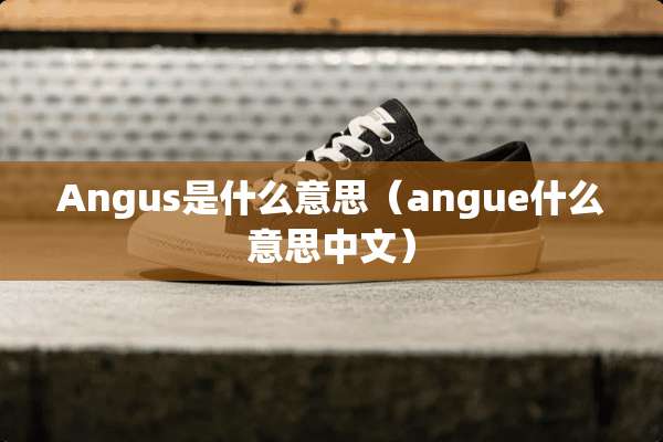 Angus是什么意思（angue什么意思中文）