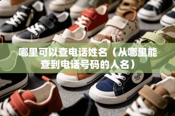 哪里可以查电话姓名（从哪里能查到电话号码的人名）