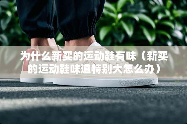 为什么新买的运动鞋有味（新买的运动鞋味道特别大怎么办）