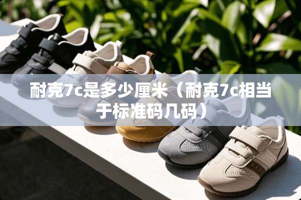 耐克7c是多少厘米（耐克7c相当于标准码几码）