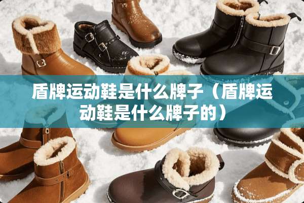 盾牌运动鞋是什么牌子（盾牌运动鞋是什么牌子的）