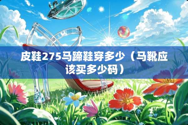 皮鞋275马蹄鞋穿多少（马靴应该买多少码）