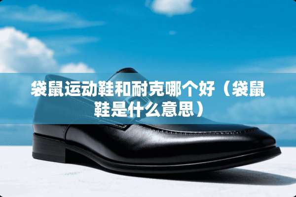 袋鼠运动鞋和耐克哪个好（袋鼠鞋是什么意思）
