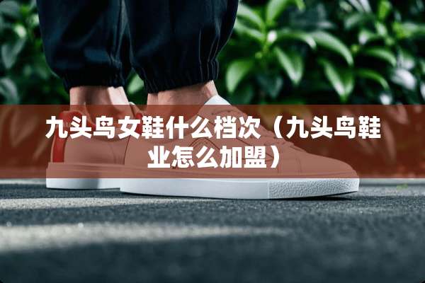 九头鸟女鞋什么档次（九头鸟鞋业怎么加盟）