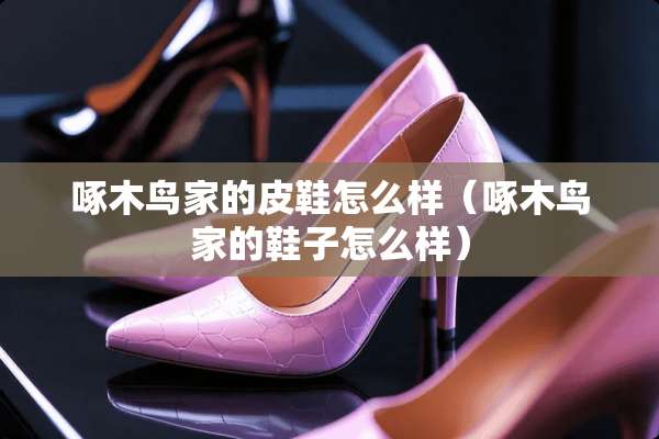 啄木鸟家的皮鞋怎么样（啄木鸟家的鞋子怎么样）