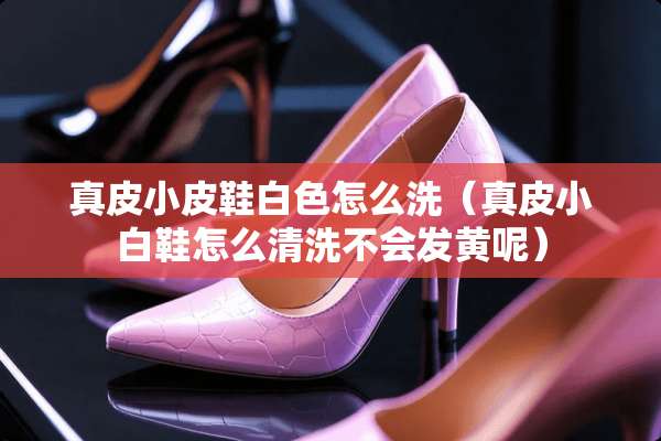 真皮小皮鞋白色怎么洗（真皮小白鞋怎么清洗不会发黄呢）