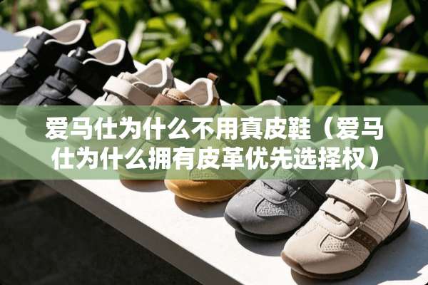 爱马仕为什么不用真皮鞋（爱马仕为什么拥有皮革优先选择权）