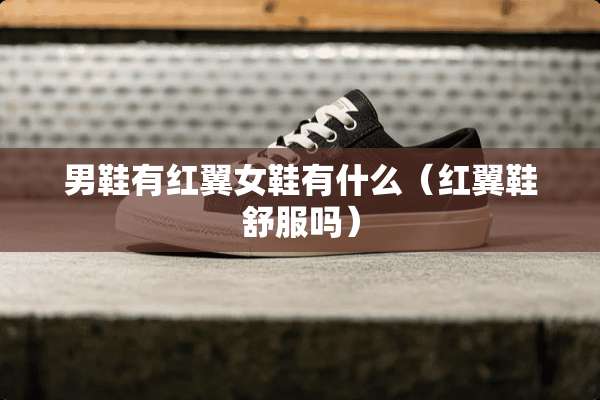 男鞋有红翼女鞋有什么（红翼鞋舒服吗）