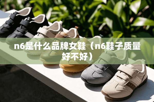 n6是什么品牌女鞋（n6鞋子质量好不好）