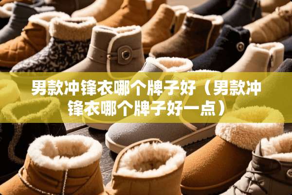男款冲锋衣哪个牌子好（男款冲锋衣哪个牌子好一点）