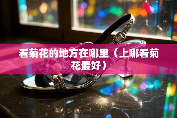看菊花的地方在哪里（上哪看菊花最好）