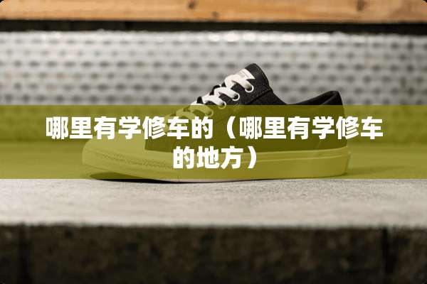 哪里有学修车的（哪里有学修车的地方）