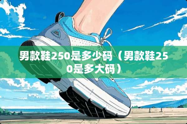 男款鞋250是多少码（男款鞋250是多大码）