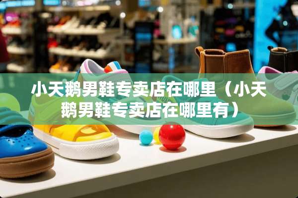 小天鹅男鞋专卖店在哪里（小天鹅男鞋专卖店在哪里有）